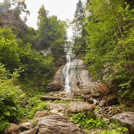 барва