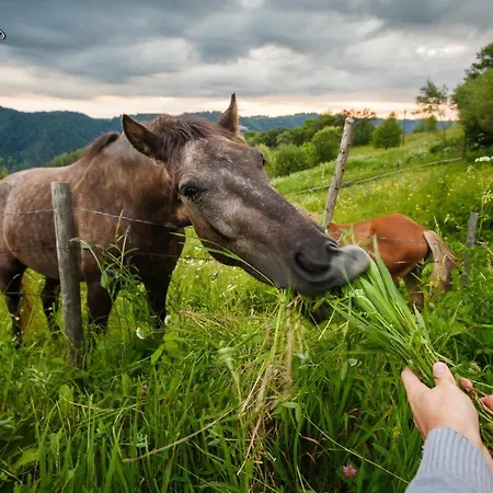 山林小屋 барва Byalobereska