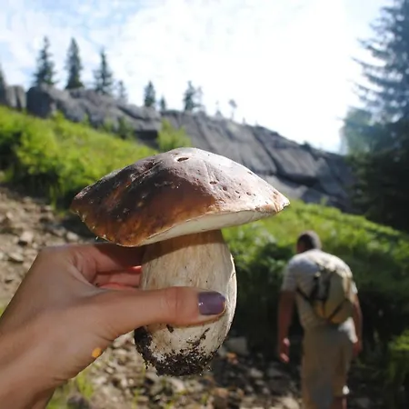барва 山林小屋 Byalobereska