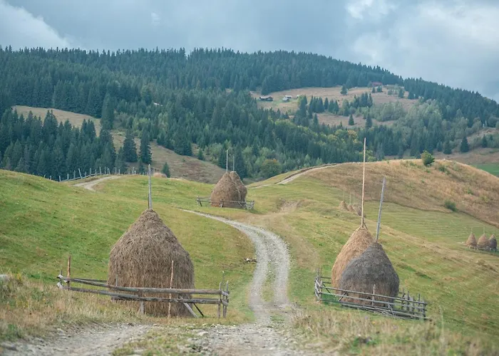Lodge барва *